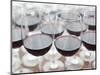 Wine Tasting, Bodega Marques De Riscal Winery, Elciego, Basque Country Region, Spain-Walter Bibikow-Mounted Photographic Print