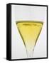 Wine Tasting Glasses, Maison De La Champagne-Per Karlsson-Framed Stretched Canvas