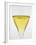 Wine Tasting Glasses, Maison De La Champagne-Per Karlsson-Framed Photographic Print