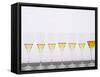 Wine Tasting Glasses, Maison De La Champagne-Per Karlsson-Framed Stretched Canvas