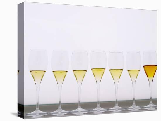 Wine Tasting Glasses, Maison De La Champagne-Per Karlsson-Stretched Canvas