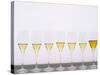 Wine Tasting Glasses, Maison De La Champagne-Per Karlsson-Stretched Canvas