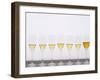 Wine Tasting Glasses, Maison De La Champagne-Per Karlsson-Framed Photographic Print