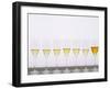 Wine Tasting Glasses, Maison De La Champagne-Per Karlsson-Framed Photographic Print