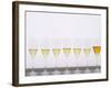 Wine Tasting Glasses, Maison De La Champagne-Per Karlsson-Framed Photographic Print