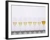 Wine Tasting Glasses, Maison De La Champagne-Per Karlsson-Framed Photographic Print