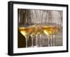 Wine Tasting Glasses with Golden Sweet White Wine from Uroulat Jurancon Charles Hours, France-Per Karlsson-Framed Photographic Print