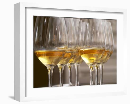 Wine Tasting Glasses with Golden Sweet White Wine from Uroulat Jurancon Charles Hours, France-Per Karlsson-Framed Photographic Print