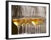 Wine Tasting Glasses with Golden Sweet White Wine from Uroulat Jurancon Charles Hours, France-Per Karlsson-Framed Photographic Print