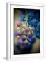 White Frame