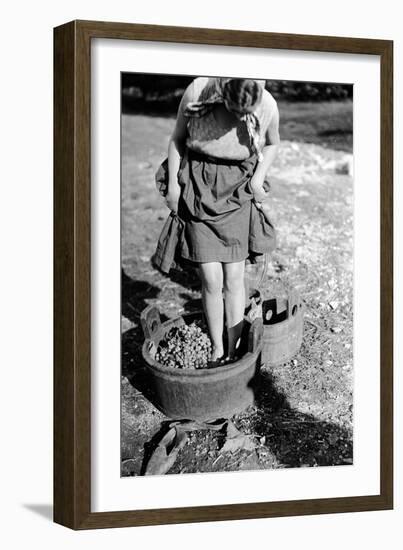 Wine Treading in a Vat, Italy-Armando Bruni-Framed Giclee Print