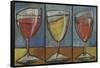 Wine Trio Triptych-Tim Nyberg-Framed Stretched Canvas