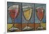 Wine Trio Triptych-Tim Nyberg-Framed Giclee Print