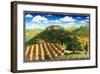 Wine Vinyard Estates-Caroline Haliday-Framed Giclee Print