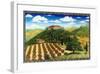 Wine Vinyard Estates-Caroline Haliday-Framed Giclee Print