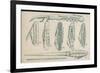 Wine Waiters' Tools-null-Framed Premium Giclee Print