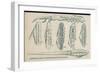 Wine Waiters' Tools-null-Framed Art Print