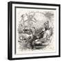 Wine-null-Framed Art Print