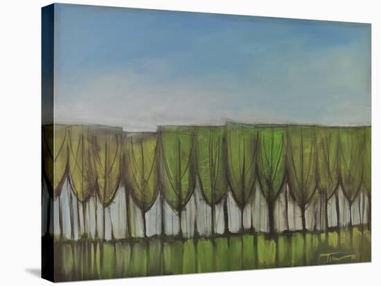 Wineglass Treeline-Tim Nyberg-Stretched Canvas