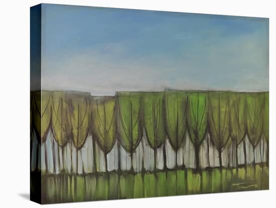 Wineglass Treeline-Tim Nyberg-Stretched Canvas