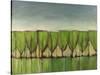 Wineglass Trees after Rain-Tim Nyberg-Stretched Canvas