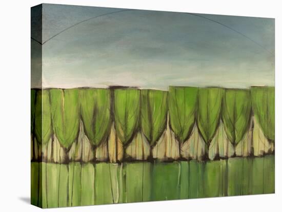 Wineglass Trees after Rain-Tim Nyberg-Stretched Canvas