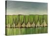 Wineglass Trees after Rain-Tim Nyberg-Stretched Canvas