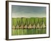 Wineglass Trees after Rain-Tim Nyberg-Framed Giclee Print