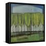 Wineglass Trees-Tim Nyberg-Framed Stretched Canvas