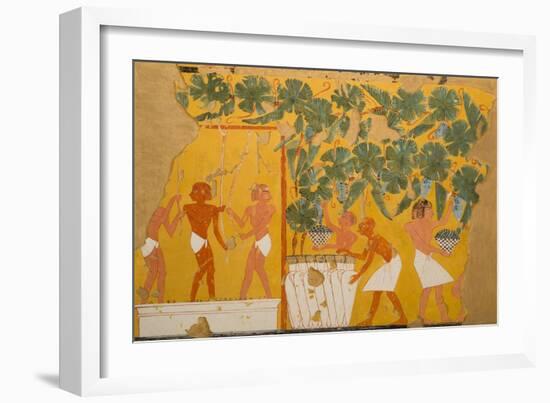 Winemaking, Tomb of Ipuy-Charles Wilkinson-Framed Giclee Print