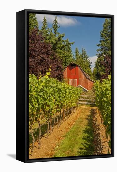 Winery and Vineyard on Whidbey Island, Washington, USA-Richard Duval-Framed Stretched Canvas