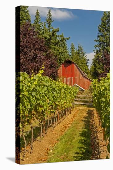 Winery and Vineyard on Whidbey Island, Washington, USA-Richard Duval-Stretched Canvas