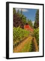 Winery and Vineyard on Whidbey Island, Washington, USA-Richard Duval-Framed Photographic Print