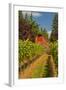 Winery and Vineyard on Whidbey Island, Washington, USA-Richard Duval-Framed Photographic Print