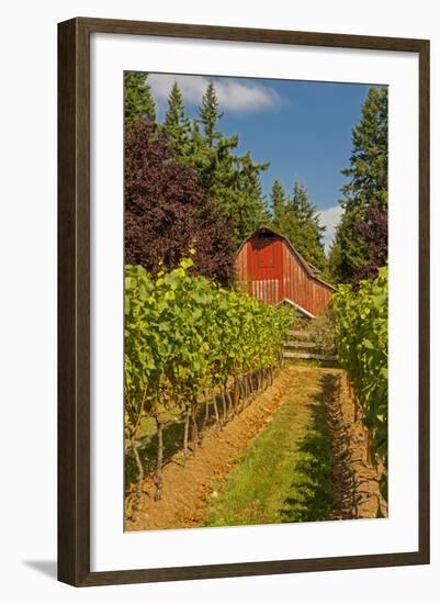 Winery and Vineyard on Whidbey Island, Washington, USA-Richard Duval-Framed Photographic Print