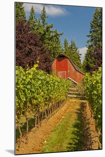 Winery and Vineyard on Whidbey Island, Washington, USA-Richard Duval-Mounted Photographic Print