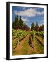 Winery and Vineyard on Whidbey Island, Washington, USA-Richard Duval-Framed Premium Photographic Print