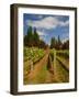 Winery and Vineyard on Whidbey Island, Washington, USA-Richard Duval-Framed Photographic Print