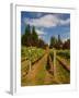 Winery and Vineyard on Whidbey Island, Washington, USA-Richard Duval-Framed Photographic Print