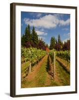 Winery and Vineyard on Whidbey Island, Washington, USA-Richard Duval-Framed Photographic Print