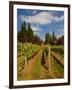 Winery and Vineyard on Whidbey Island, Washington, USA-Richard Duval-Framed Photographic Print