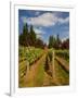 Winery and Vineyard on Whidbey Island, Washington, USA-Richard Duval-Framed Photographic Print