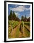 Winery and Vineyard on Whidbey Island, Washington, USA-Richard Duval-Framed Photographic Print