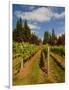 Winery and Vineyard on Whidbey Island, Washington, USA-Richard Duval-Framed Photographic Print