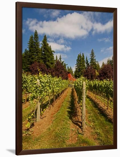 Winery and Vineyard on Whidbey Island, Washington, USA-Richard Duval-Framed Photographic Print