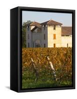 Winery Building and Golden Vineyard in Late Afternoon, Domaine Des Verdots, Conne De Labarde-Per Karlsson-Framed Stretched Canvas