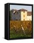 Winery Building and Golden Vineyard in Late Afternoon, Domaine Des Verdots, Conne De Labarde-Per Karlsson-Framed Stretched Canvas