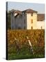 Winery Building and Golden Vineyard in Late Afternoon, Domaine Des Verdots, Conne De Labarde-Per Karlsson-Stretched Canvas