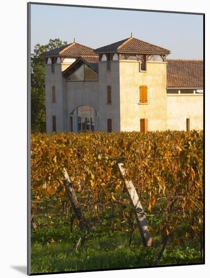 Winery Building and Golden Vineyard in Late Afternoon, Domaine Des Verdots, Conne De Labarde-Per Karlsson-Mounted Photographic Print