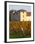 Winery Building and Golden Vineyard in Late Afternoon, Domaine Des Verdots, Conne De Labarde-Per Karlsson-Framed Photographic Print